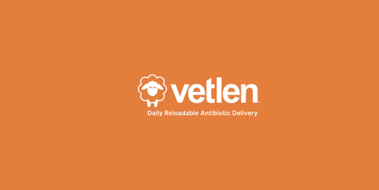 Biofilms: What They Are & Why They Matter