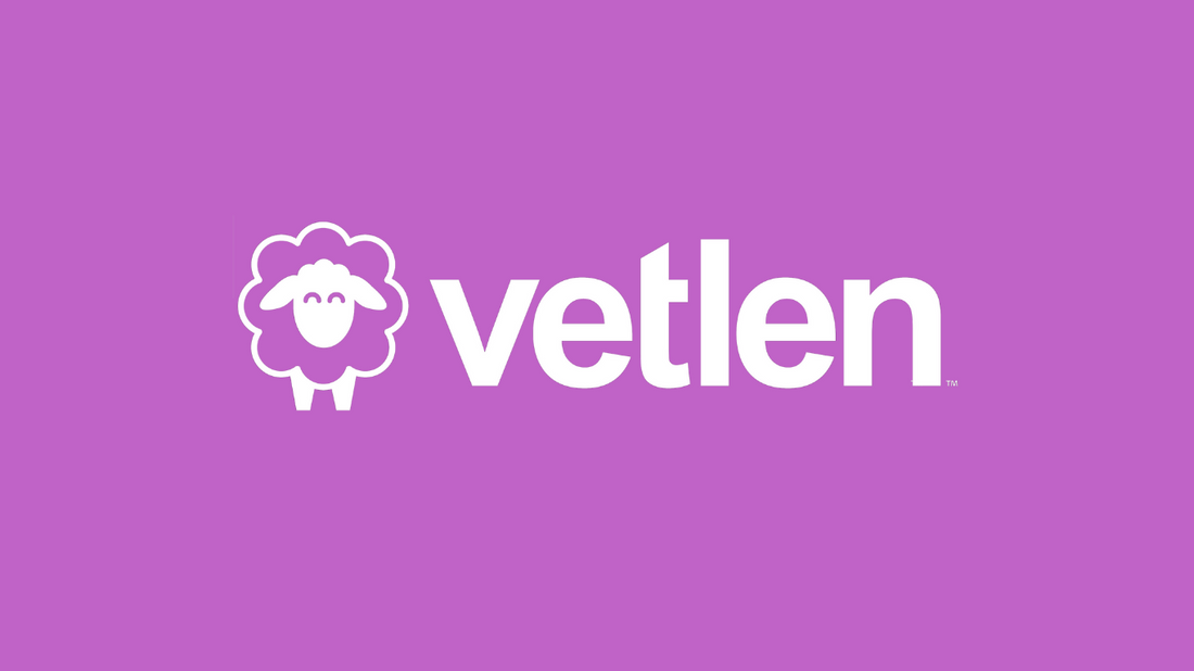 Meet the Vetlen Team: Passionate Professionals Committed to Your Success