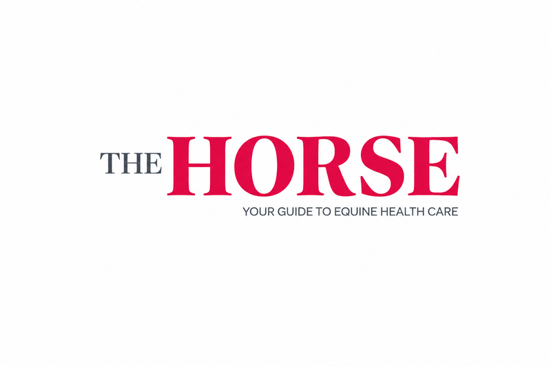 Vetlen Announces the Launch of the 5 mL Vetlen Pouch: A Revolutionary Local Antibiotic Delivery Device – The Horse