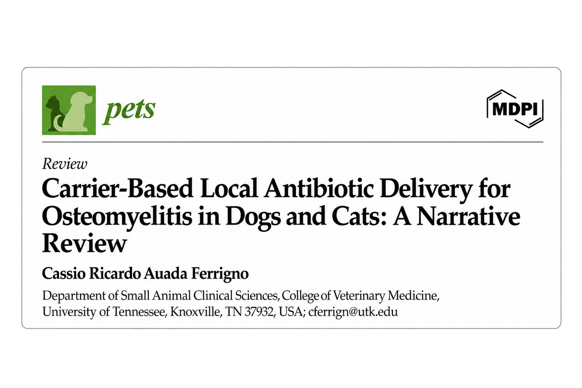 thumbnail of the 2026 MDPI Pets scientific review, Carrier-Based Local Antibiotic Delivery for Osteomyelitis in Dogs and Cats, examining localized antibiotic delivery in veterinary medicine.