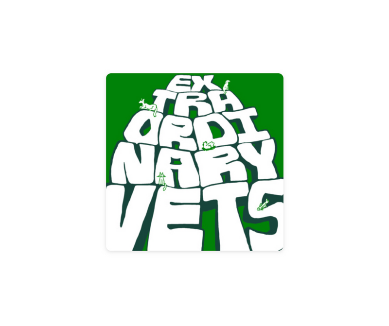 Navigating Veterinary Medicine with Dr. Morley - Extraordinary Vets